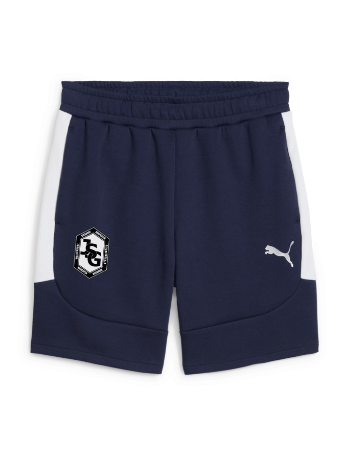 PUMA teamEVOSTRIPE Shorts