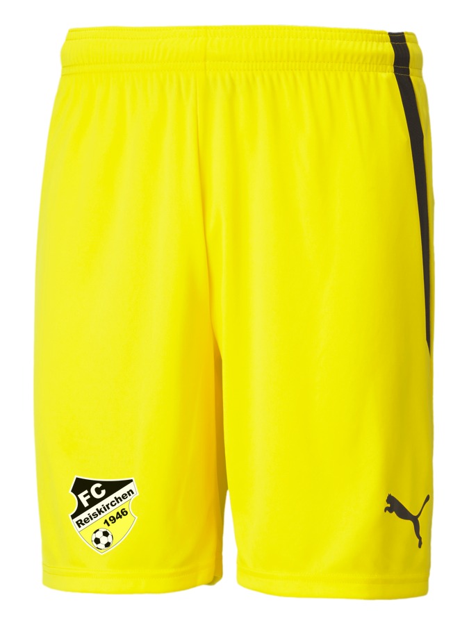 PUMA teamLIGA Shorts