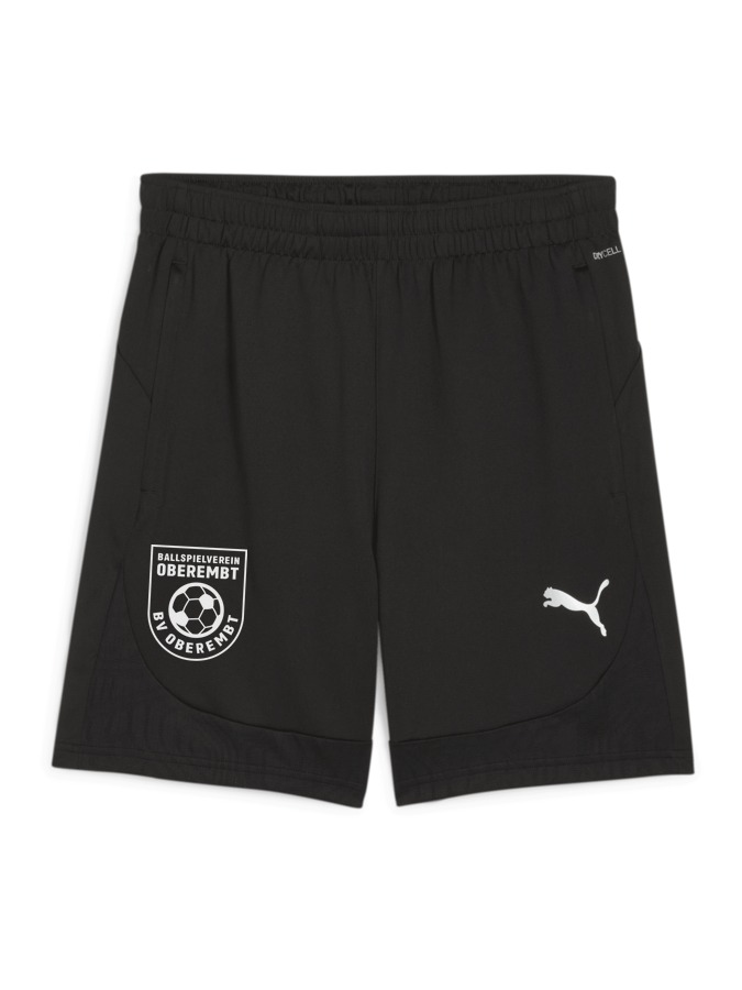 PUMA teamFINAL Training Shorts
