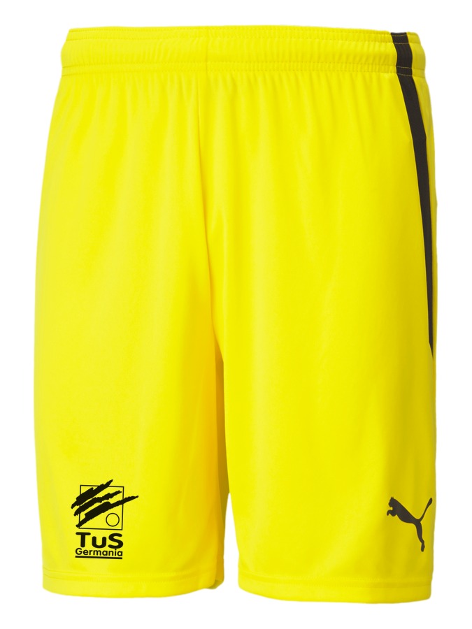 PUMA teamLIGA Shorts