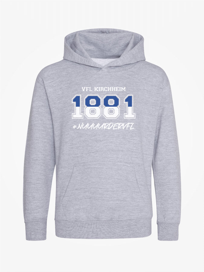 Hoodie Established Kids