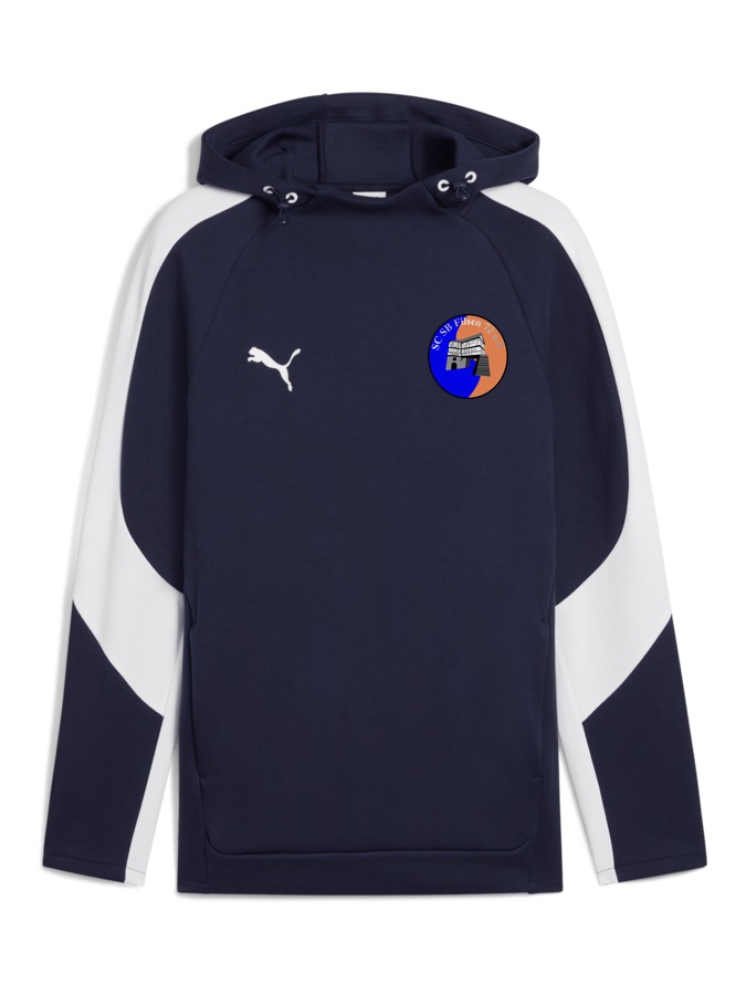 PUMA teamEVOSTRIPE Hoody