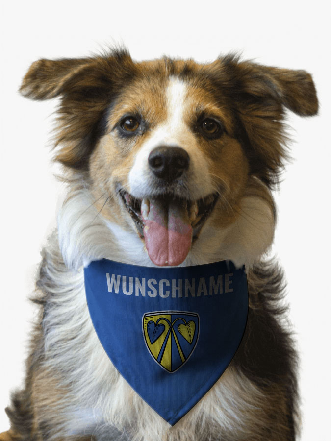 Hundehalstuch