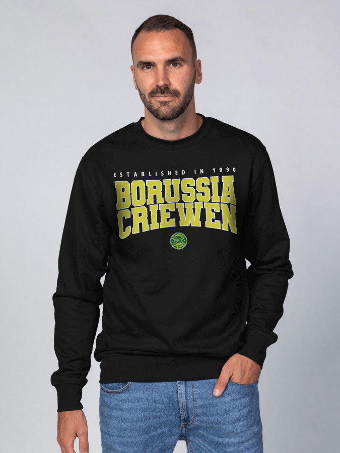 Sweater Retro Herren