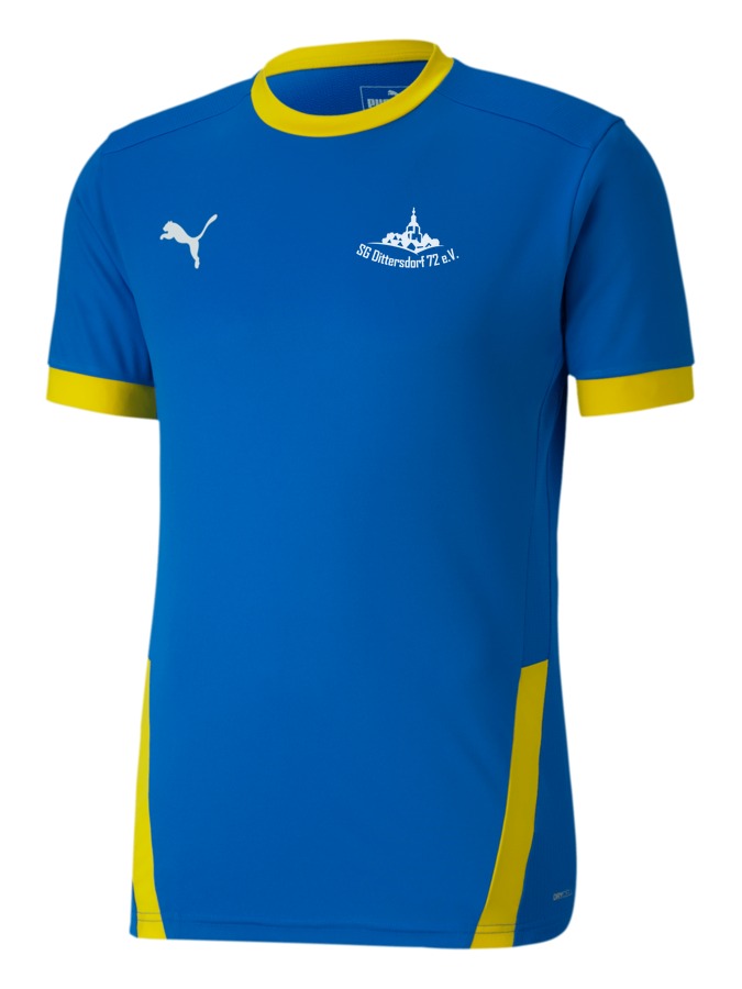 PUMA teamGOAL 23 Trikot