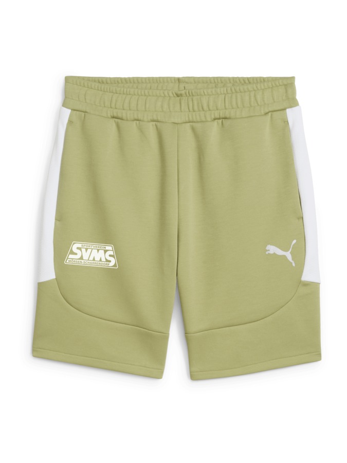 PUMA teamEVOSTRIPE Shorts