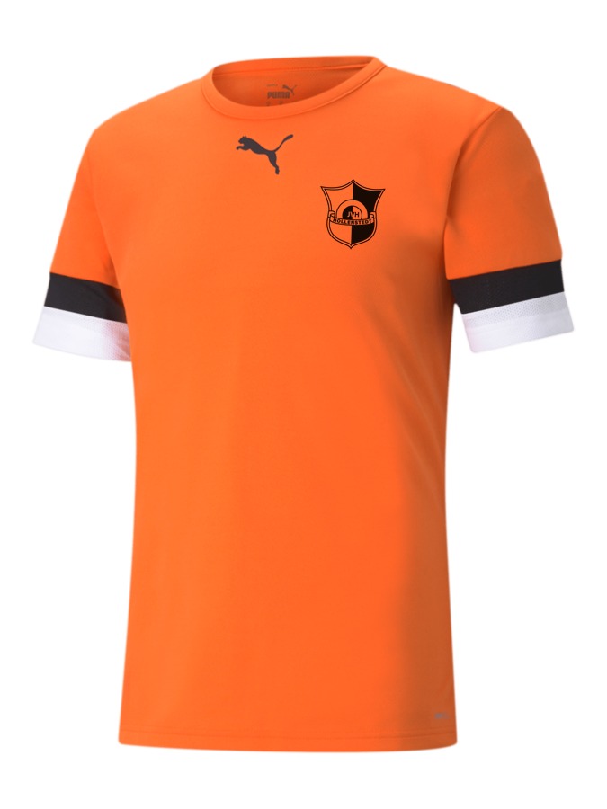 PUMA teamRISE Trikot