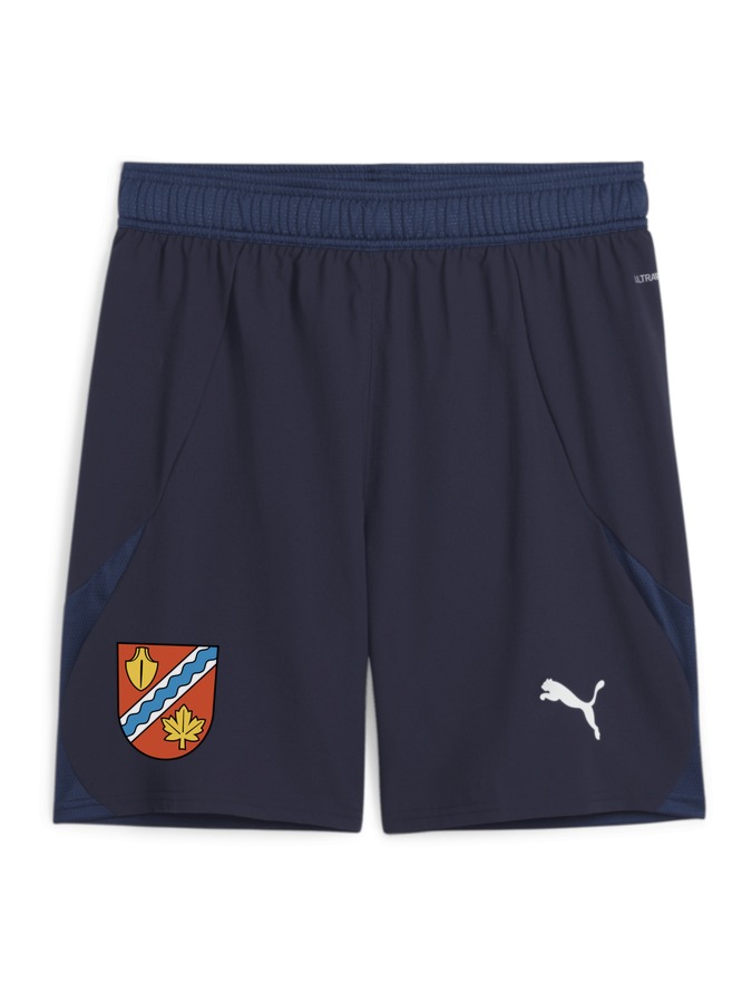 PUMA teamFINAL Shorts