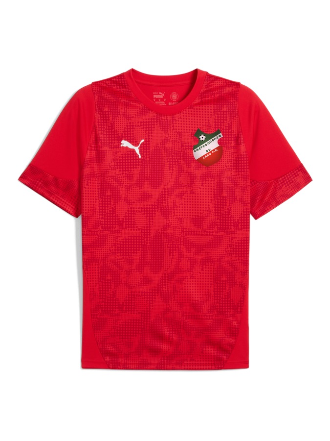 PUMA teamCUP Trainingsshirt
