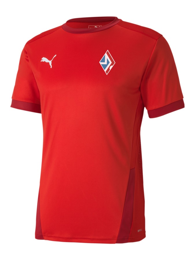 PUMA teamGOAL 23 Trikot