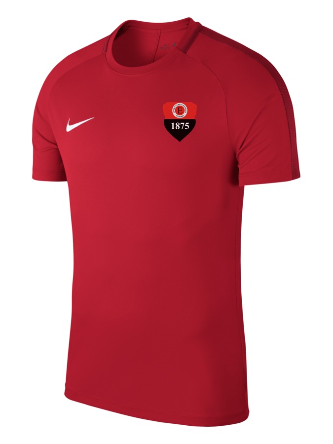Nike Academy 18 Top