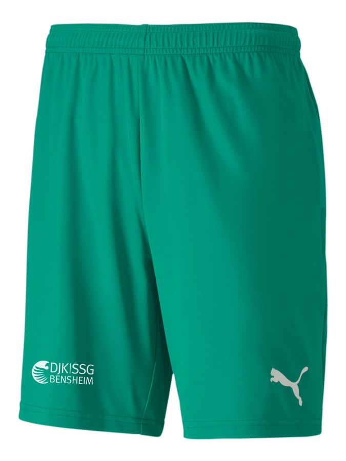 PUMA teamGOAL 23 Knit Shorts