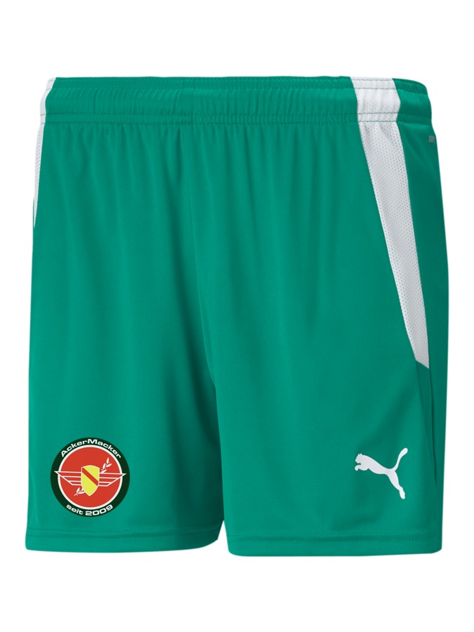 PUMA teamLIGA Shorts Damen