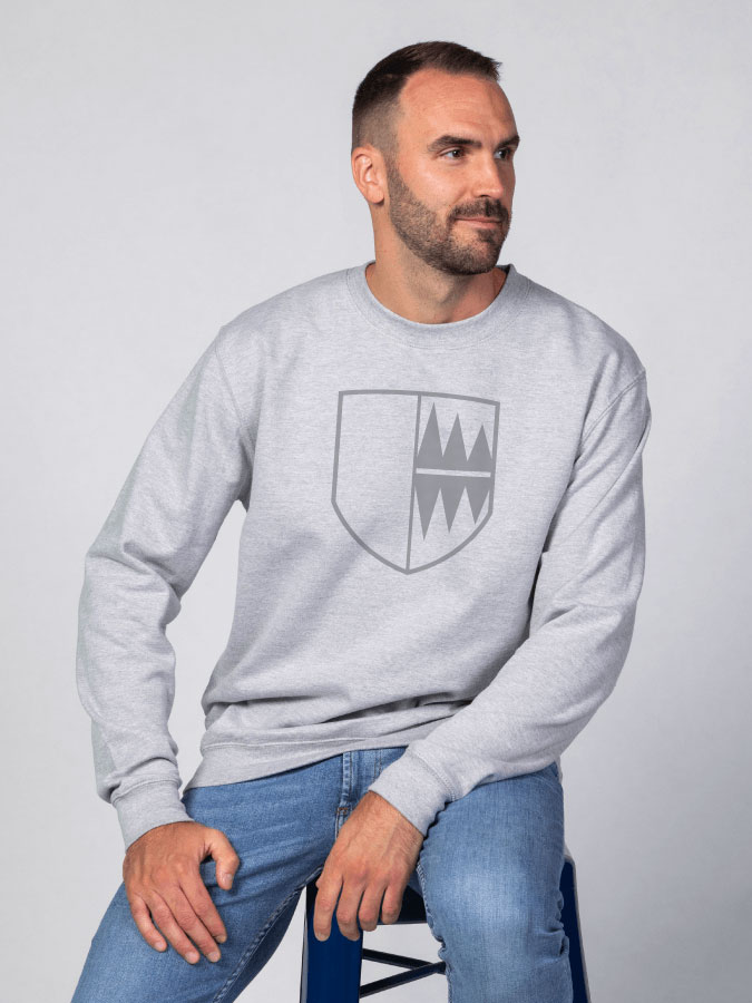 Sweater All Grey Herren