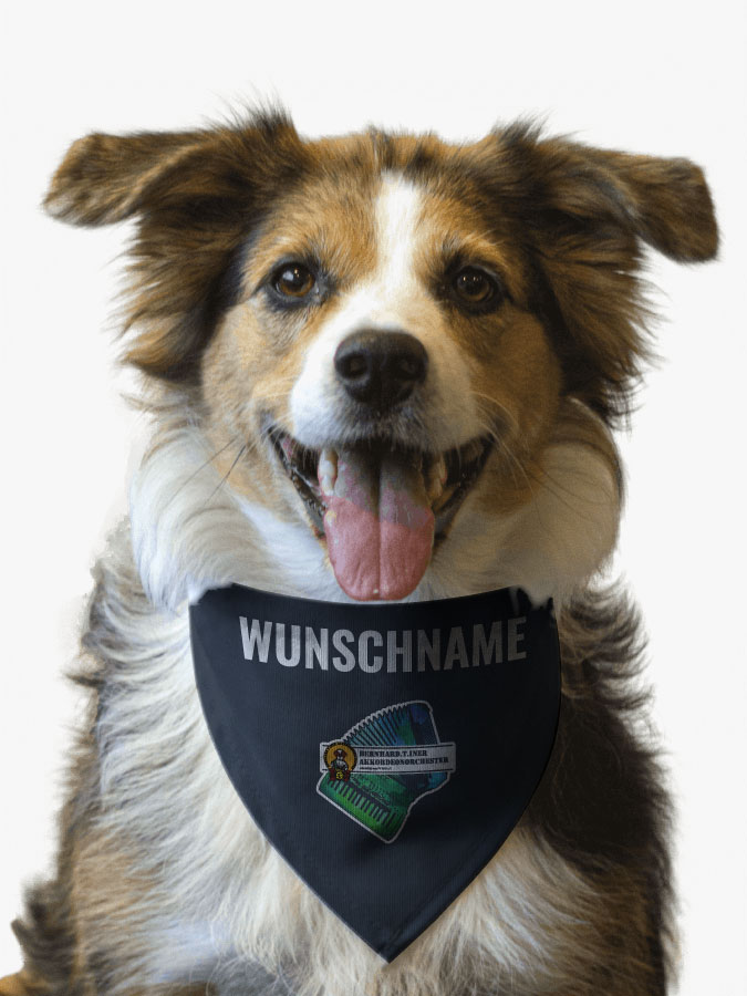 Hundehalstuch