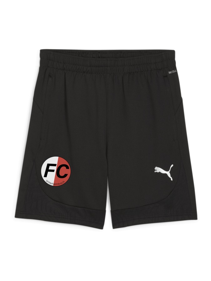 PUMA teamFINAL Training Shorts