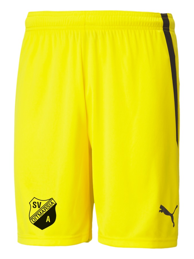 PUMA teamLIGA Shorts