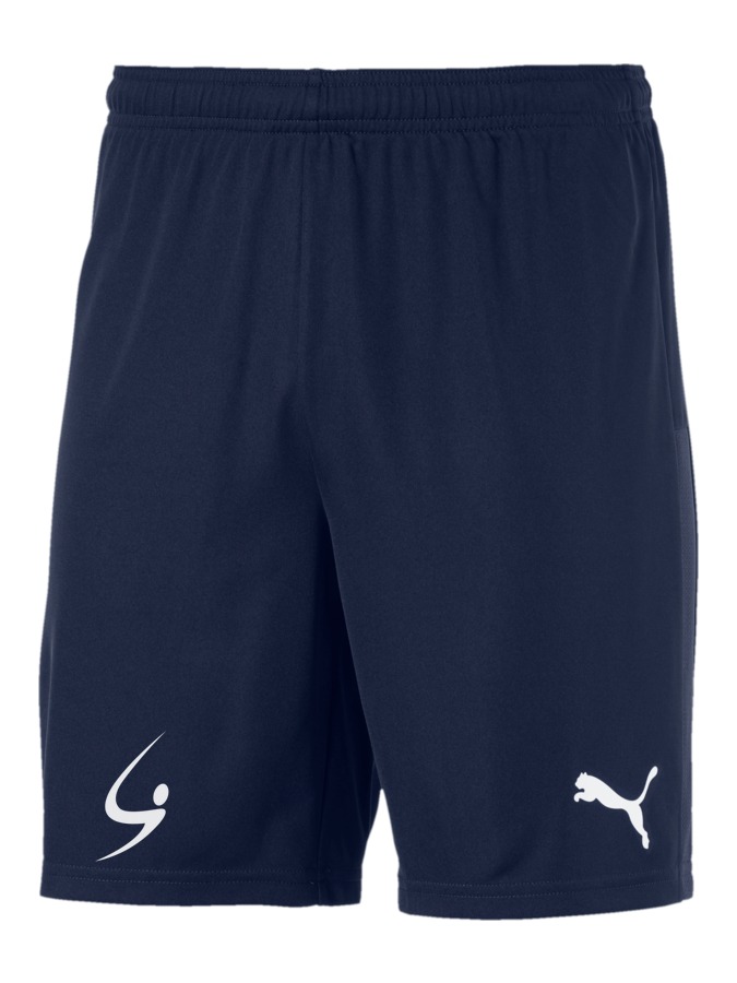 PUMA teamGOAL 23 Knit Shorts