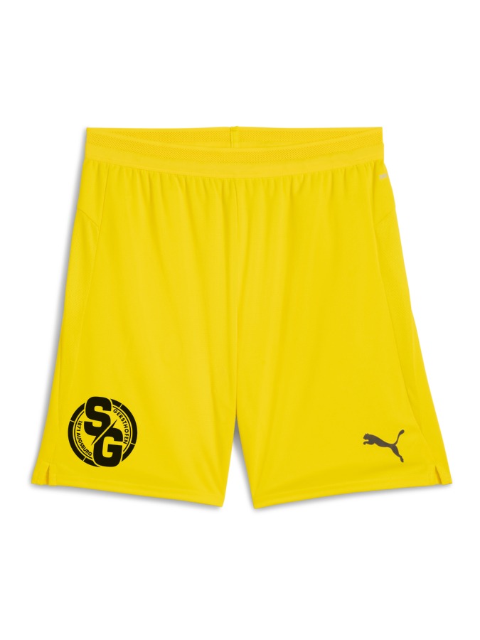 PUMA teamCUP Shorts