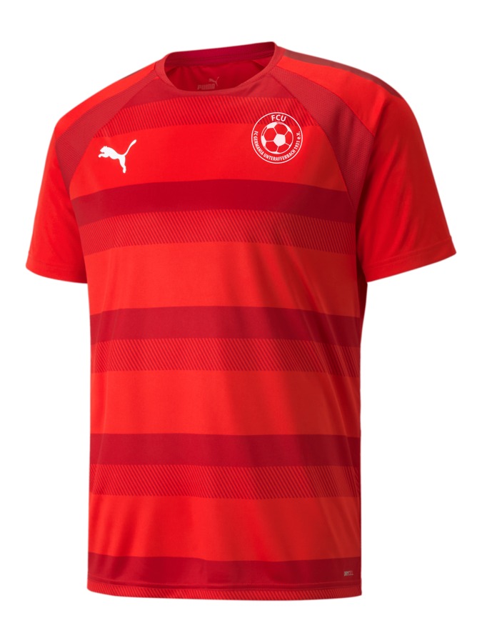 PUMA teamVISION Trikot