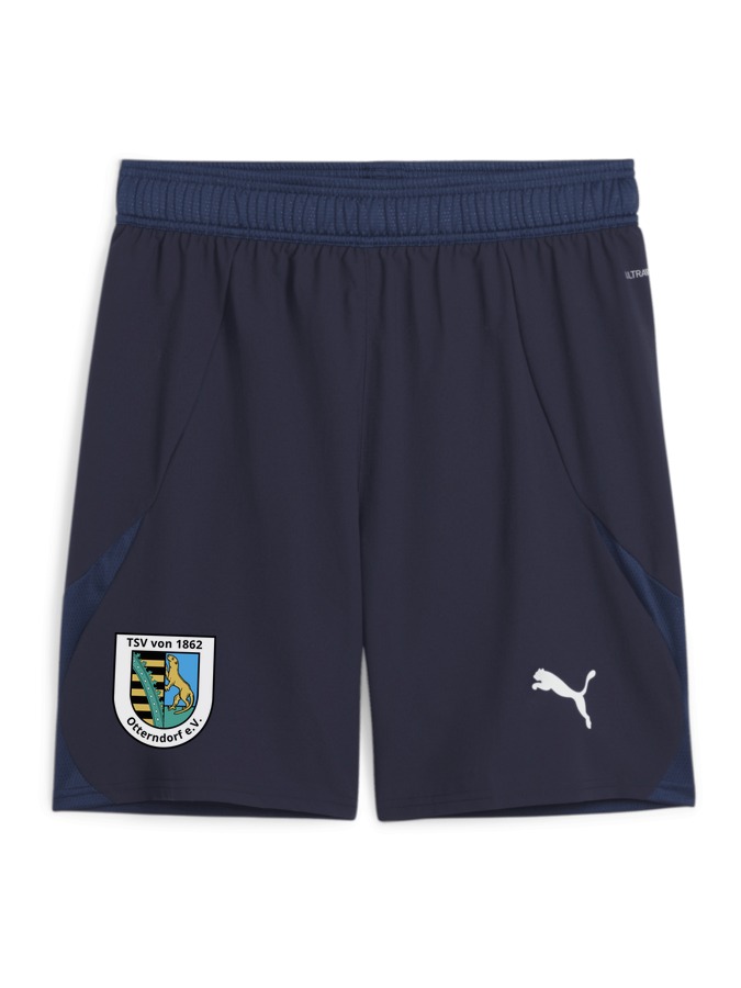 PUMA teamFINAL Shorts