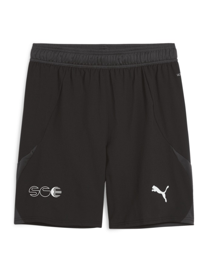 PUMA teamFINAL Shorts