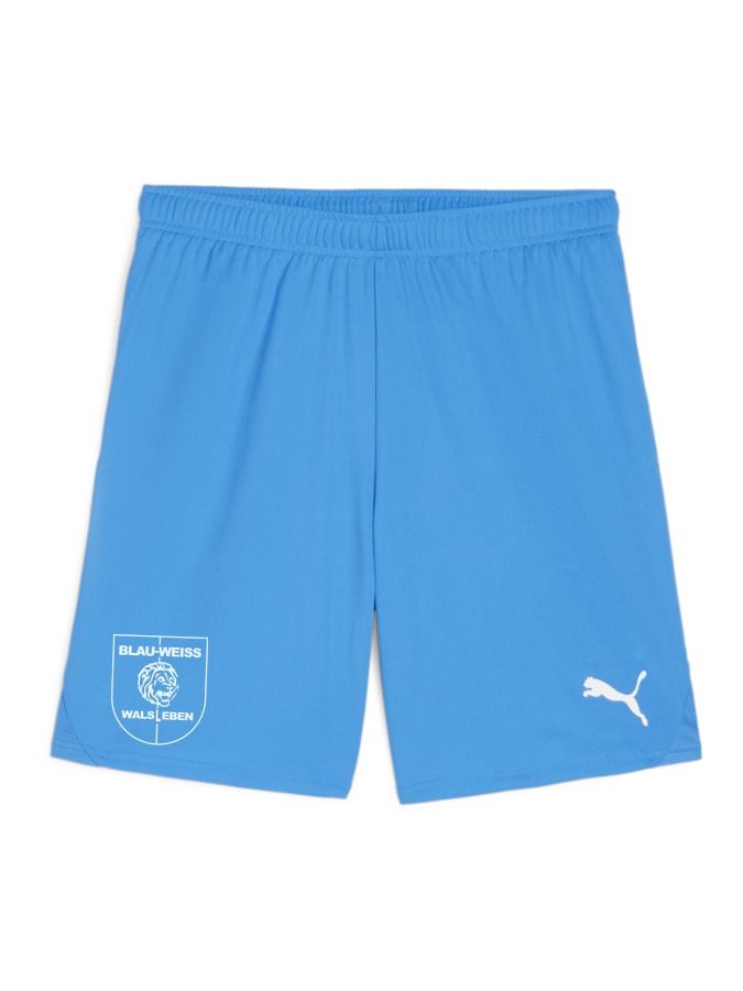 PUMA teamGOAL Shorts