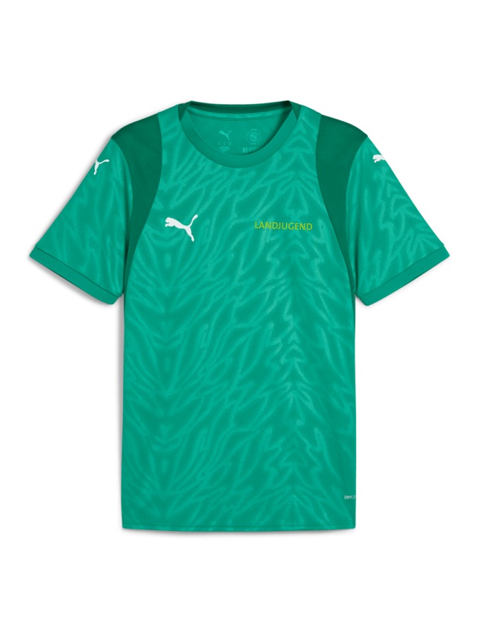 PUMA teamCUP Trikot