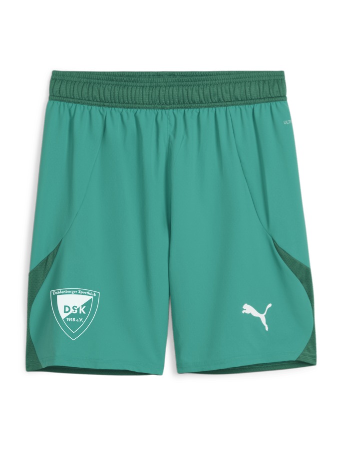 PUMA teamFINAL Shorts