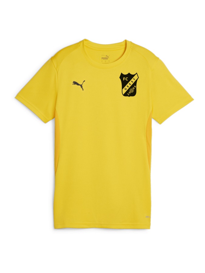 PUMA teamGOAL Trikot Damen