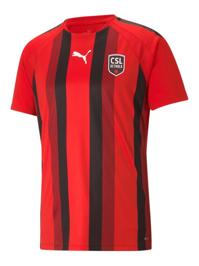 PUMA teamLIGA Striped Trikot