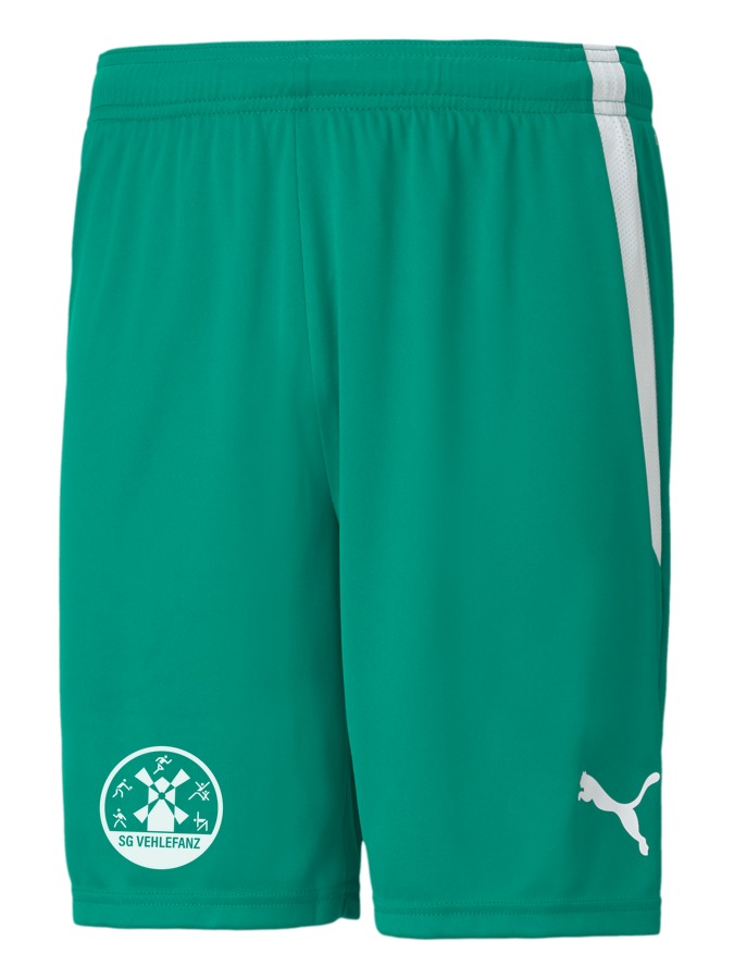 PUMA teamLIGA Shorts