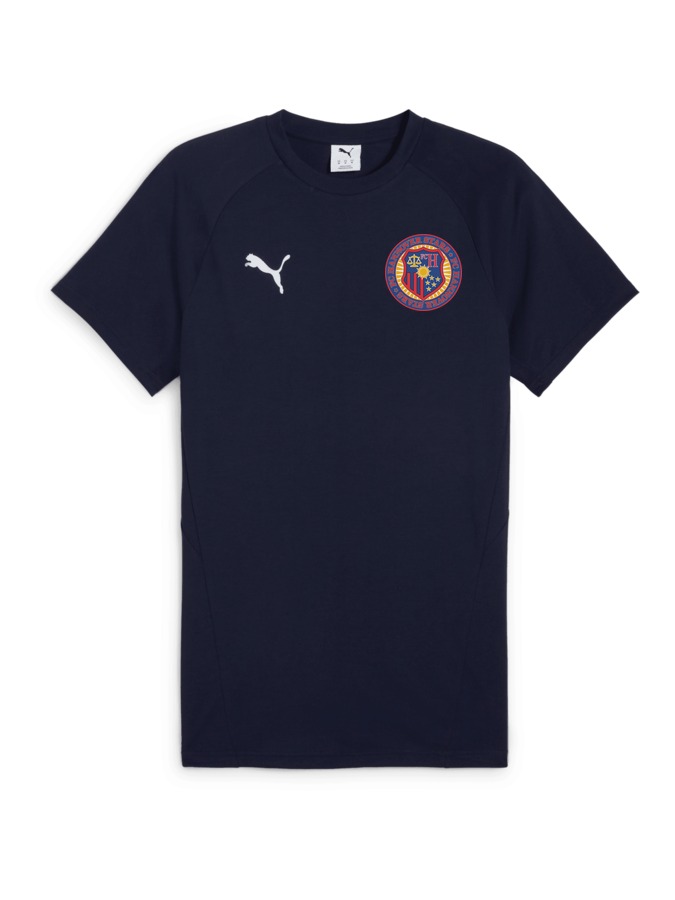 PUMA teamEVOSTRIPE T-Shirt