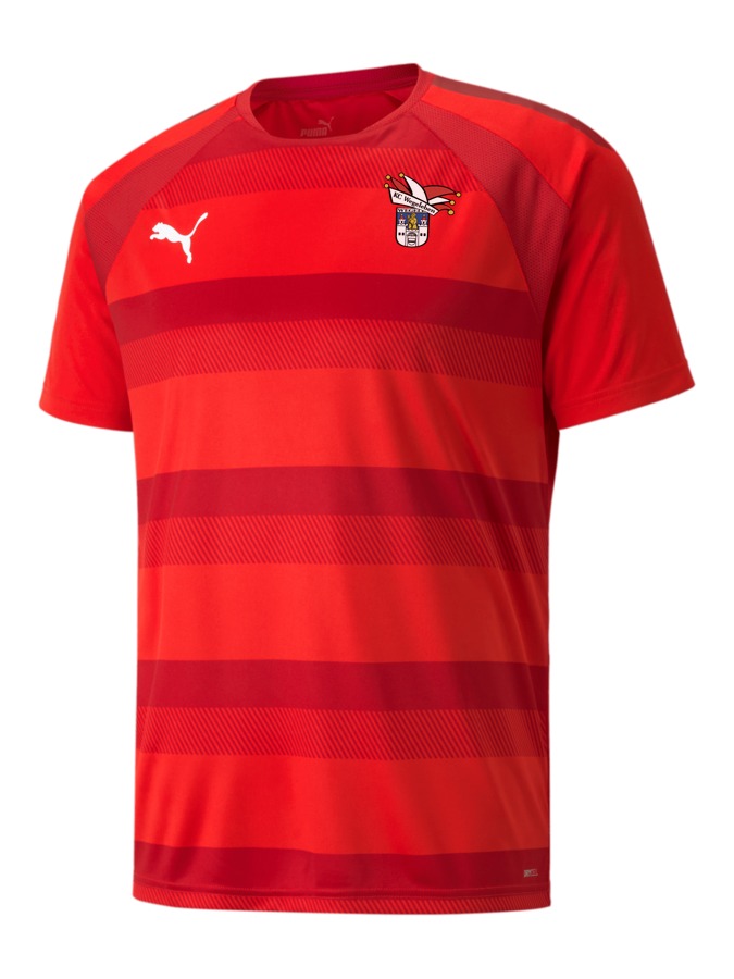 PUMA teamVISION Trikot