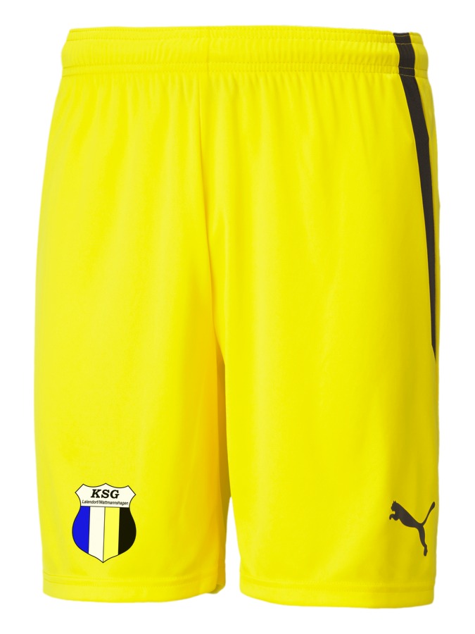 PUMA teamLIGA Shorts