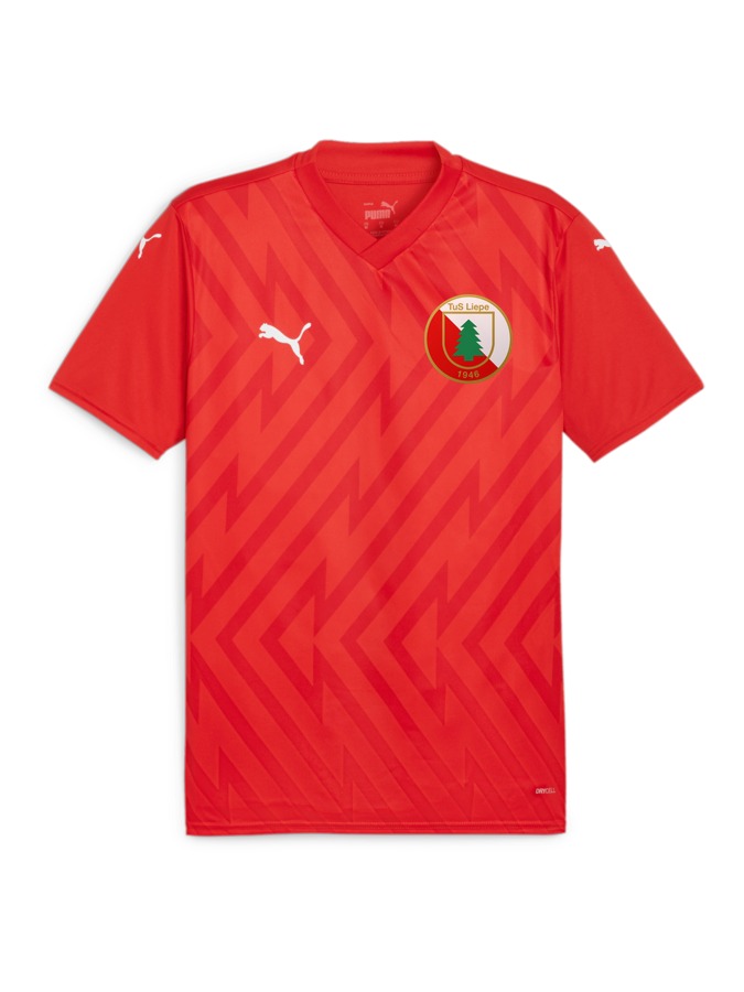 PUMA teamGLORY Trikot