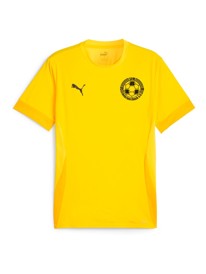 PUMA teamGOAL Matchday Trikot