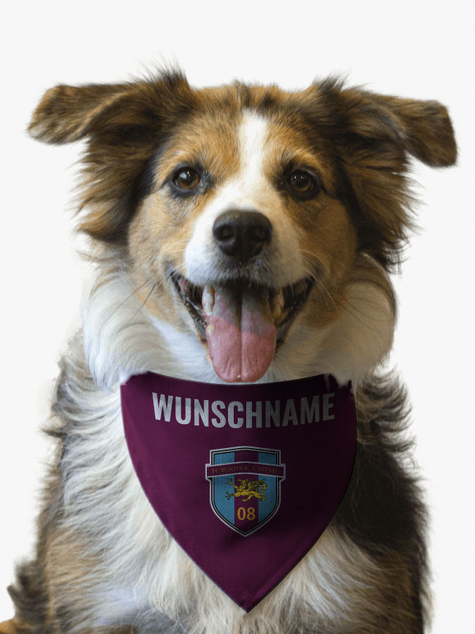 Hundehalstuch