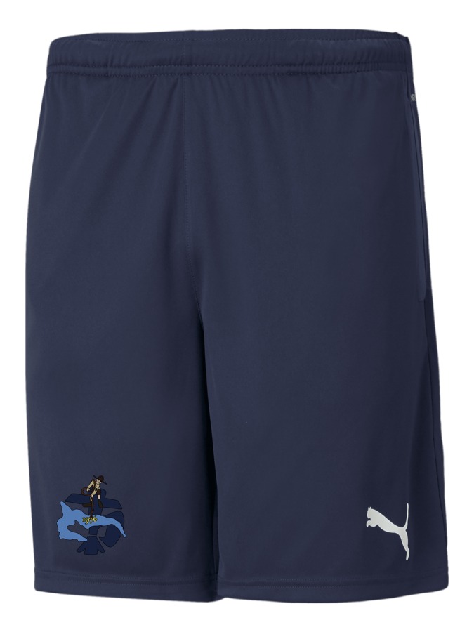PUMA teamRISE Training Shorts