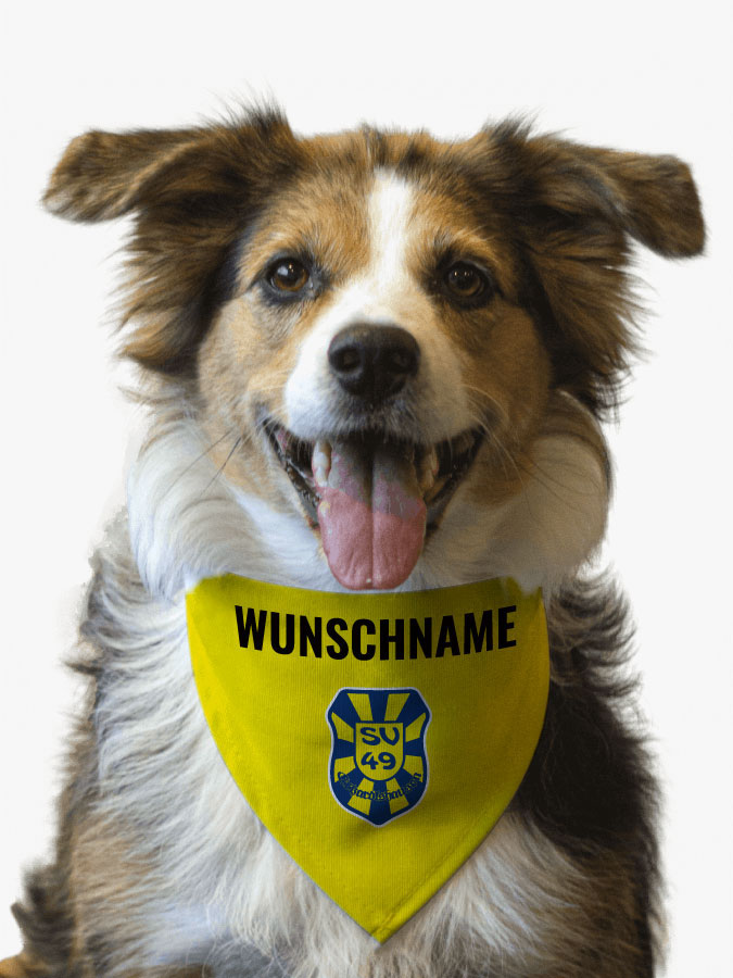 Hundehalstuch