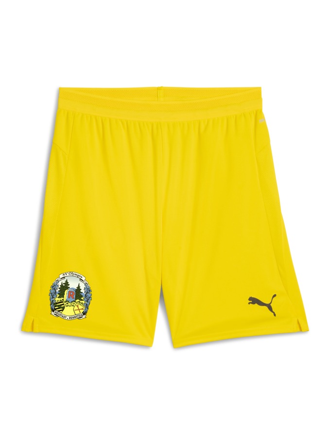 PUMA teamCUP Shorts