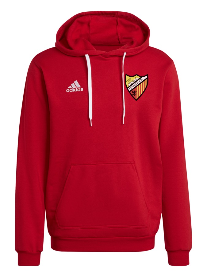 adidas Entrada 22 Hoodie