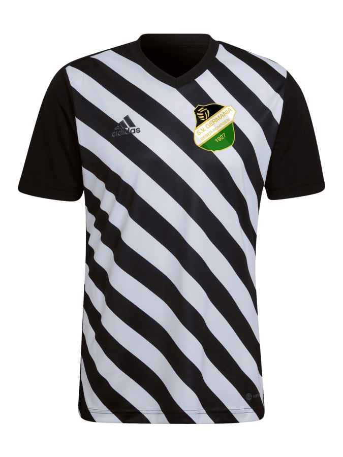 adidas Entrada 22 GFX Trikot