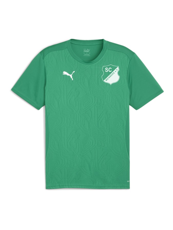 PUMA teamFINAL Trainingsshirt