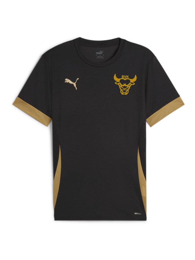 PUMA teamGOAL Matchday Trikot