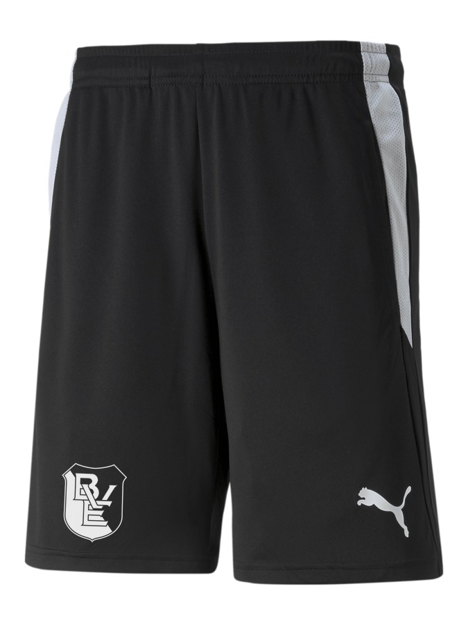PUMA teamLIGA Referee Shorts