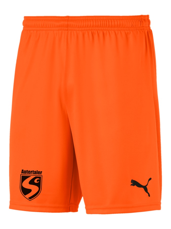 PUMA teamGOAL 23 Knit Shorts