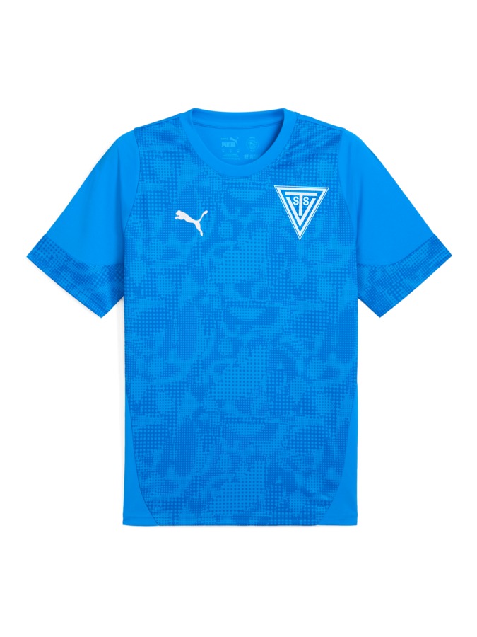 PUMA teamCUP Trainingsshirt